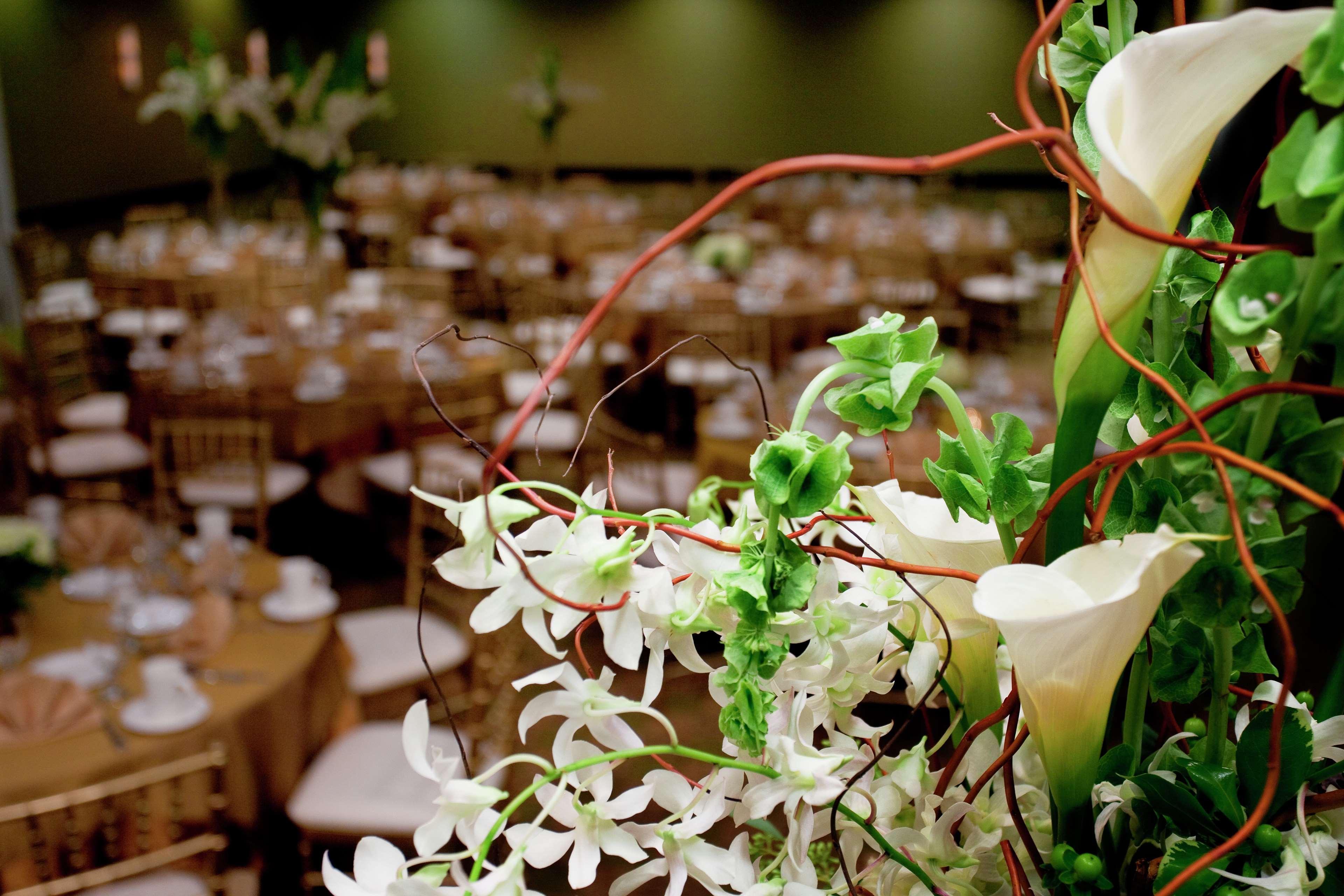 Hilton Garden Inn Seattle/Ботелл Экстерьер фото